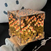 🌷 AuraWow™ – Tulip Night Light Cube